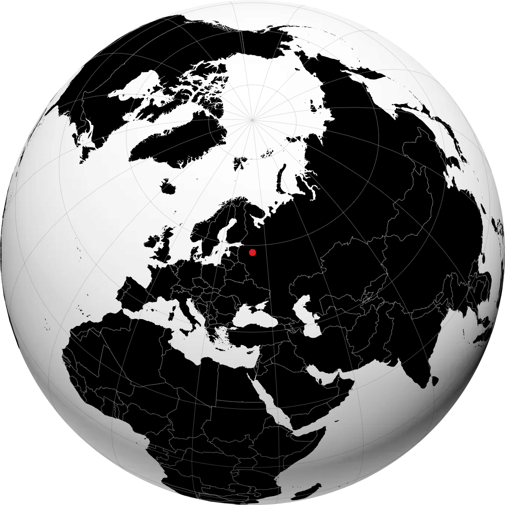 Borowicze na globusie