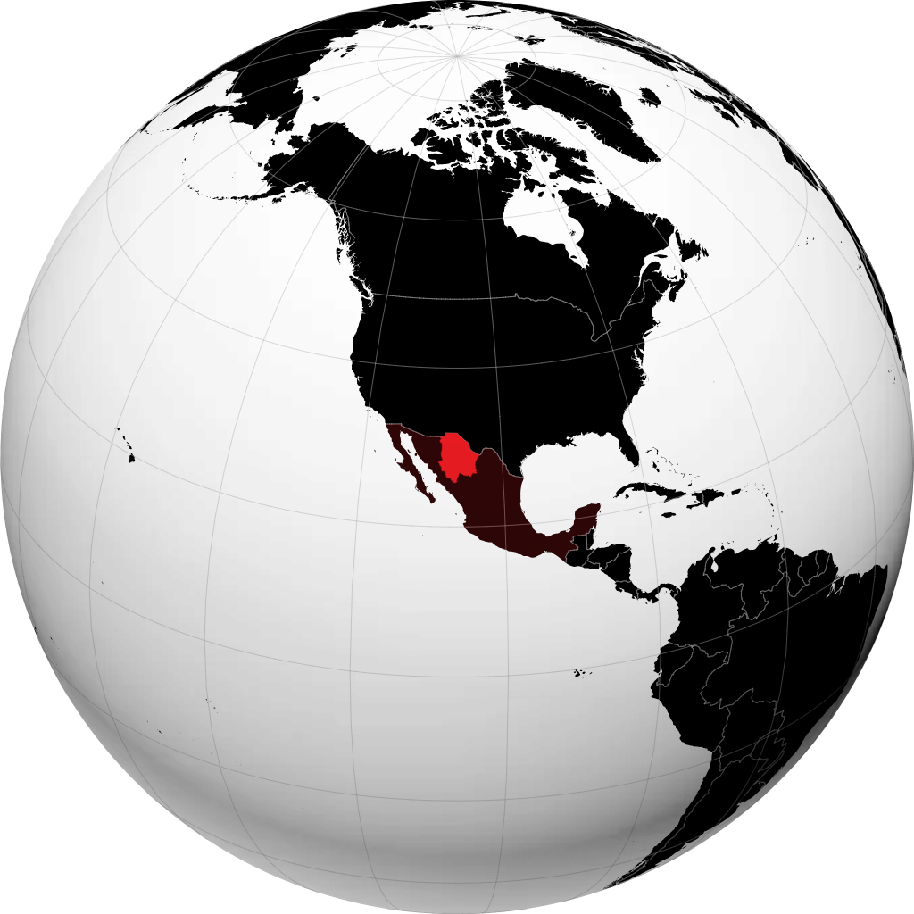 Chihuahua na globusie