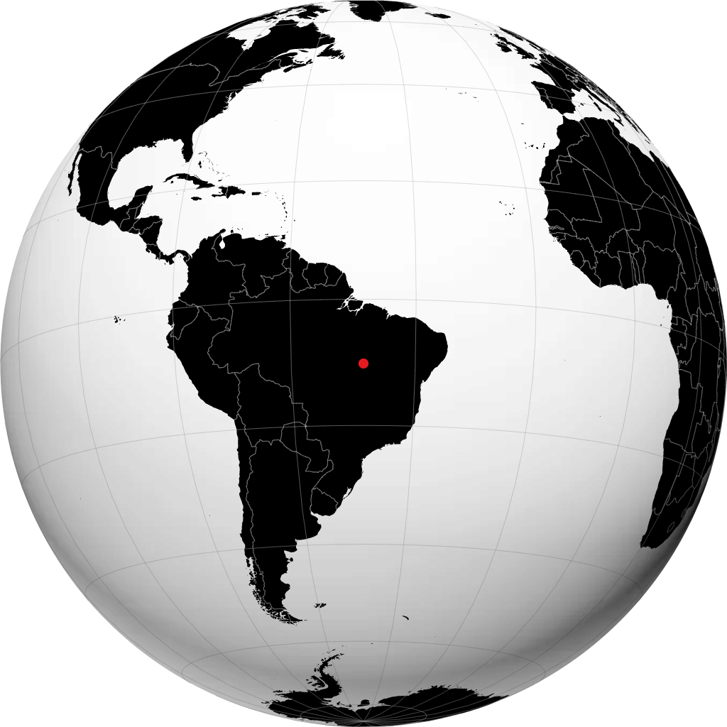 Palmas na globusie