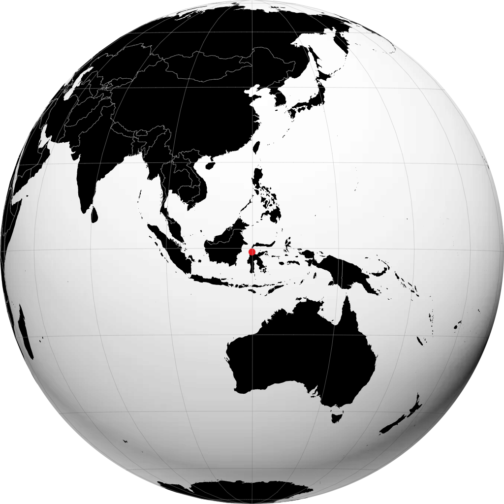 Palu na globusie