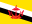 flaga Brunei